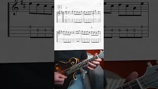 quotFolding Down the Sheetsquot  Mandolin Lesson shorts [upl. by Nuli]