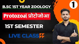 प्रोटोजोआ BSc 1st year zoology chapter 1 in hindi  bsc 1st year zoology  zoology bsc 1st year [upl. by Eyar]