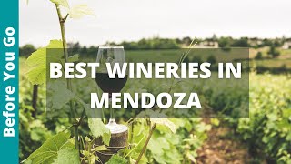 7 Best WINERIES amp BODEGAS in Mendoza Argentina DRINK TILL YOU DROP [upl. by Chelton13]