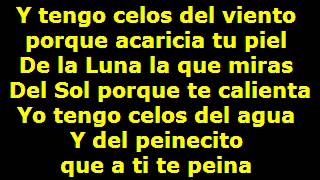 GITANA  Willie Colon LETRA [upl. by Haleemaj]