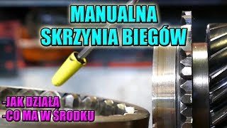 MANUALNA SKRZYNIA BIEGÓW JAK JEST ZBUDOWANA JAK DZIAŁA I CO W NIEJ SIĘ PSUJE [upl. by Htrowslle]