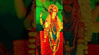 Wadala नवरात्रि navratrispecial navratri [upl. by Nerahs]