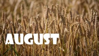 August [upl. by Netnerb]