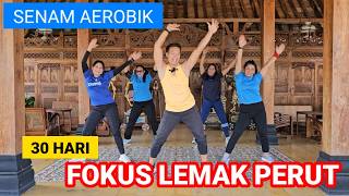 AEROBIK FOKUS LEMAK PERUT  30 HARI PENURUNAN BERAT BADAN [upl. by Radman929]