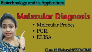 Molecule Diagnosis in Biotechnology PCR  ELISABiotechnology and its applicationsClass 12 Biology [upl. by Theo108]