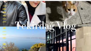 TEKİRDAĞ VLOG  POLİGONDA ATIŞ  SUSHI  travel vlog [upl. by Sorkin166]