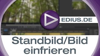 EDIUS Podcast  StandbildBild einfrieren [upl. by Einama]