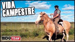 COMPRANDO CABALLO NUEVO  VIDA CAMPESTRE [upl. by Grange]