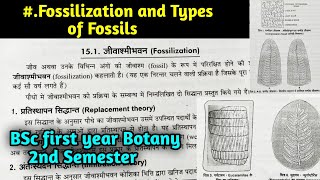 What is Fossilization  Types of Fossil in hindi  BSc first year Botany Second Semester [upl. by Sirromaj616]