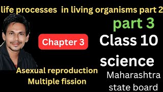 asexual reproduction multiple fission class 10 science chapter 3 life processes in living organis [upl. by Lussier948]