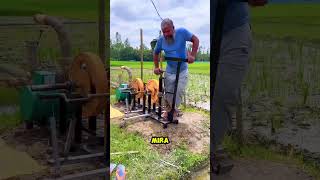 La Creatividad de un Agricultorshorts [upl. by Lucilia]