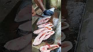 Kingfish slice cutting  fish cutting viral vidio  seafood  anjal fish [upl. by Flo]