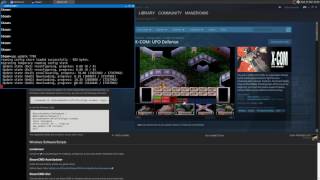 SteamCMD ·· CommandLine Steam Client install Window games on Linux [upl. by Chrissy]