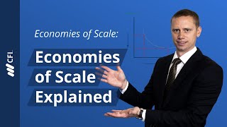 Economies of Scale Economies of Scale Explained [upl. by Eremaj397]