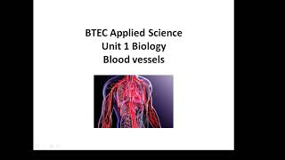 BTEC Applied Science Unit 1 Biology Blood Vessels [upl. by Nuawd]