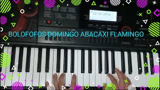 BOLOFOFOS DOMINGO ABACAXI FLAMINGO no teclado [upl. by Areic882]