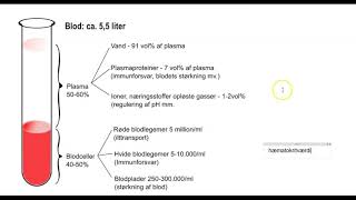 Blodet og dets bestanddele [upl. by Argile]