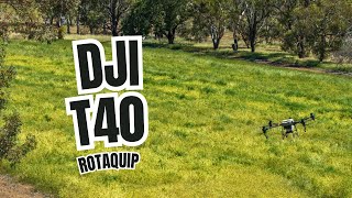 DJI T40 Crop Spraying BAKERS HILL  WESTERN AUSTRALIA [upl. by Prue]