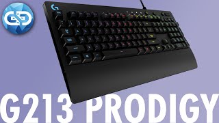 Logitech G213 Prodigy Review  DER BESTSELLER UNTER DEN GAMING TASTATUREN [upl. by Otrepur]