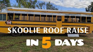 Skoolie Roof Raise in 1 Week  Skoolie Conversion [upl. by Ynnavoeg732]