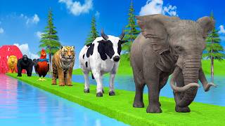 Paint amp Animals DuckGorillaLionElephantCowSheep Fountain Crossing Transformation Animal Cartoon [upl. by Sherl851]