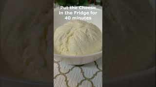 Mozzarella Cheese RecipeQuick amp EasyHomemade [upl. by Besnard329]