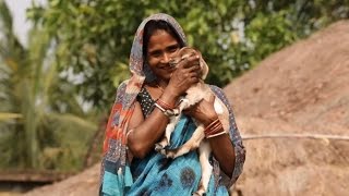 In Rural India Women Lead the Way to Improve Livelihoods [upl. by Sherline]