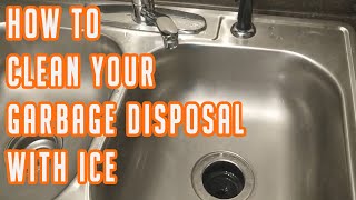 How To Clean Out A Garbage Disposal With Ice [upl. by Culhert]