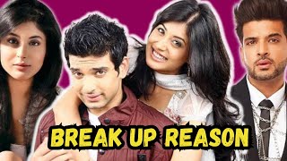 What Went Wrong With KRITIKA KAMRA and KARAN KUNDRA  Break Up Reason REVEALED [upl. by Sucramal]