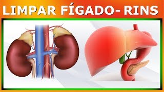 Como Limpar Fígado e Rins em Apenas 3 Dias [upl. by Lleneg863]
