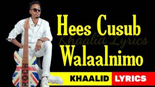 QAMAR SUUGAANI HEES CUSUB  WALAALNIMO  2021 LYRICS [upl. by East]