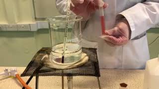 Catalysis demo Potassium sodium tartrate and hydrogen peroxide catalysed by Colbalt II chloride [upl. by Rebmak97]