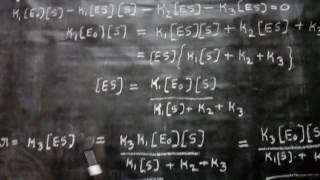 Kinetics of enzyme catalyzed reactions [upl. by Vanthe543]