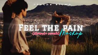 Feel The Pain Mashup  LoFi SlowedampReverb Anuv Jain X Arijit singh X KK  sad song  Sourav Verma [upl. by Therese829]