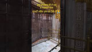 dhandhanshrigurugranthsahibji livesriharmindersahib shortsviral [upl. by Dlorrej]