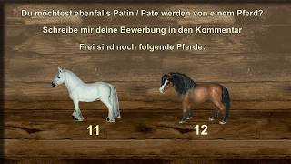 Pate für Pferd  Echte Gewinne [upl. by Mathilde]