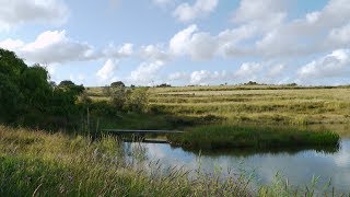 quotMonte da Pazquot WasserRetention nach Sepp Holzer [upl. by Deden]