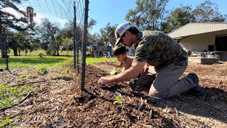 Planting Fall Vegetables [upl. by Nivel783]