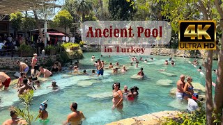 Ancient Cleopatra Pool  Summer Day  İn Pamukkale 2023 Walking Tour in Turkey [upl. by Ttezzil125]