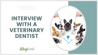 Interview with a veterinary dentist [upl. by Celestina]