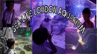 SEA LIFE London Aquarium [upl. by Razatlab]