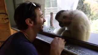 GODSMACK Monkeying around in Australia [upl. by Enaitsirk921]