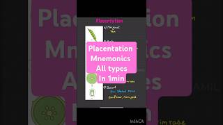 Biology mnemonics placentation neet25 neet2025 neetbiology tricks neet neetpreparation [upl. by Amitarp822]