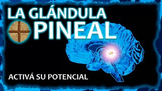 LA GLÁNDULA PINEAL  Activala y desatá todo tu potencial ⚡ [upl. by Studdard]