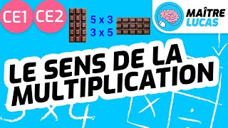 Le sens des multiplications CE1  CE2  Cycle 2  Maths  Mathématiques [upl. by Nnaeilsel]