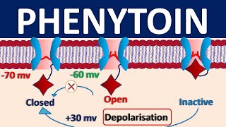 Phenytoin  Mechanism side effects precautions amp uses [upl. by Lannie393]