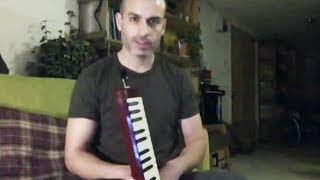 Irish melodica  circular breathing concertina accordion harmonica [upl. by Ahsimin797]