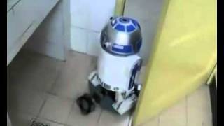 Selfmade R2D2 telepresence robot [upl. by Gregorius]