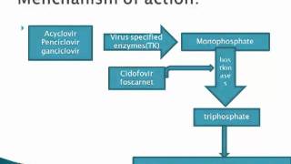 antiviral drugs part 1 [upl. by Hahcim]