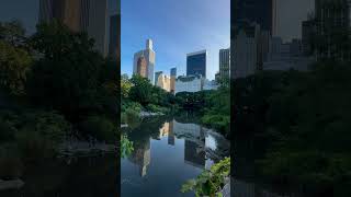 Beautiful Central Park New York City [upl. by Elyssa]